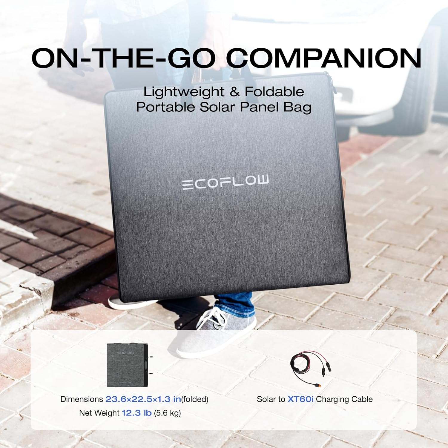 Ecoflow Solar Panel - 160W