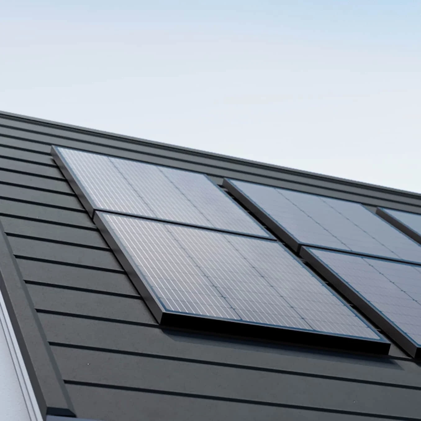 EcoFlow 100W Rigid panel (2Pcs)
