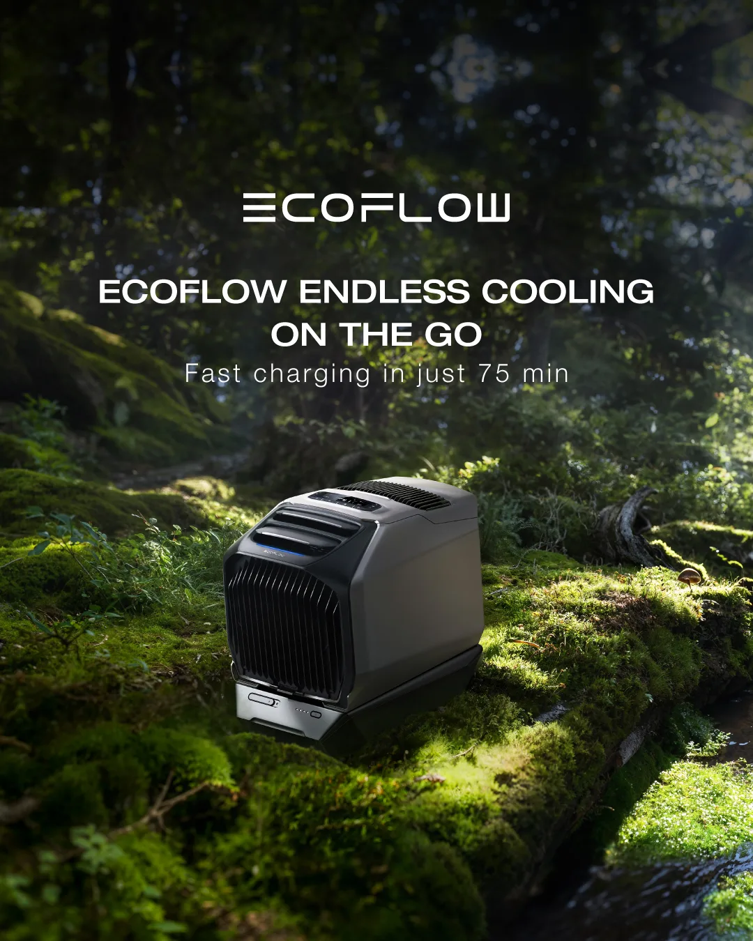 EcoFlow Home Backup