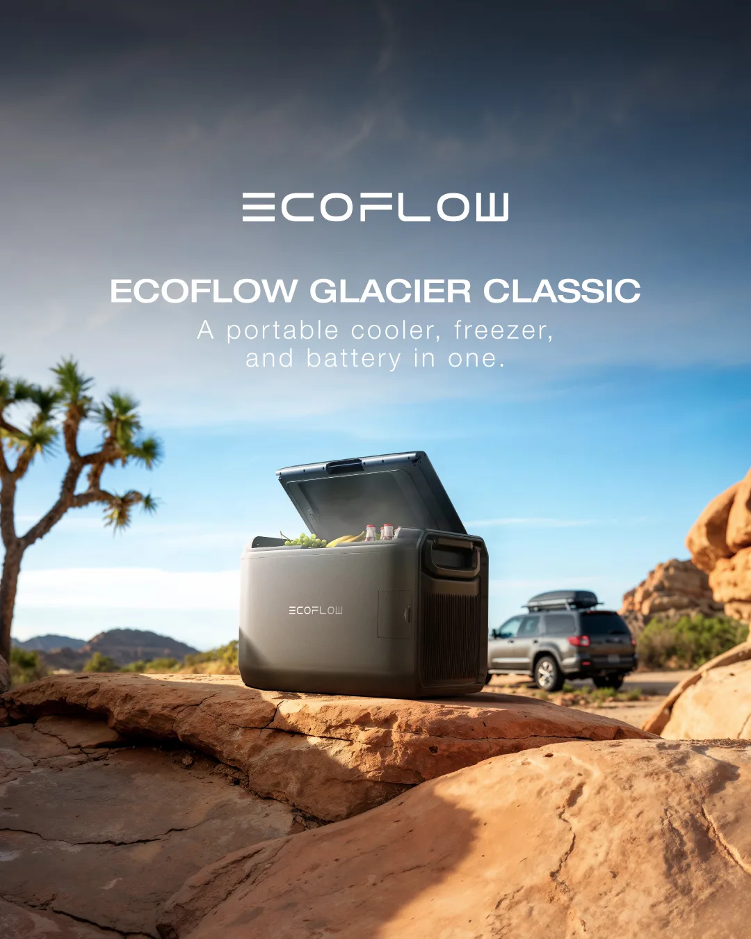 EcoFlow Authorized Distributor